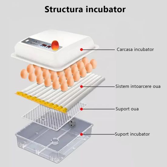 Incubator automat MS-120 (12V/220V)