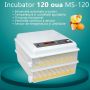 Incubator automat MS-120 (12V/220V)